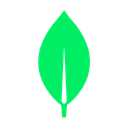 Next.js + MongoDB